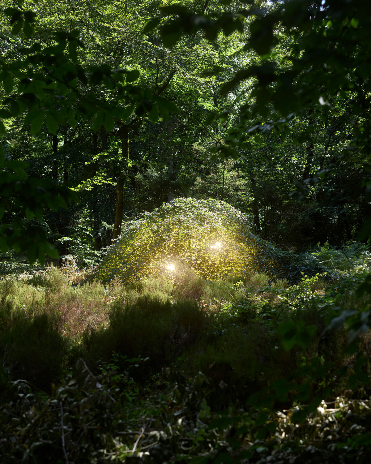 Image without a name